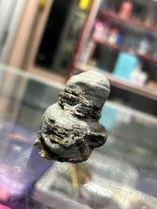 Two pieces of shivling found while digging