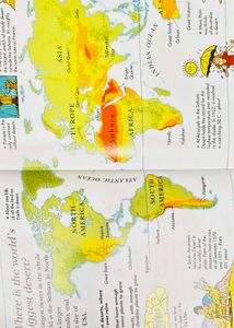 I Wonder Why Children's Book