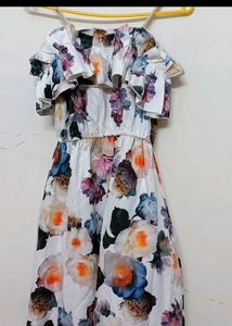 Knee Length Floral Dress