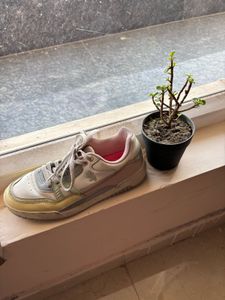 Redtape sneakers