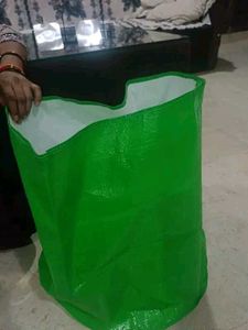 Green Plant Container