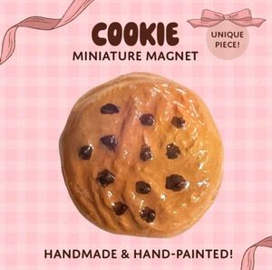Handmade Cookie Fridge Magnets 🍪🩷