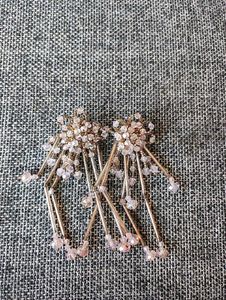 Earings