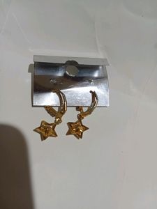 Artificial Earring 💗