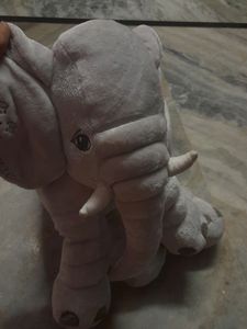 White Elephant New Stumpy Brand