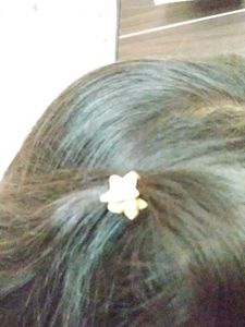 Pretty Star Hair Pins ✨