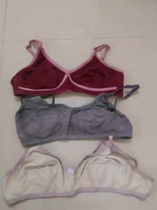 Garments