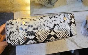 Zara Snake Print Bag