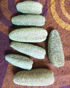 5 Loofah In Rs 99