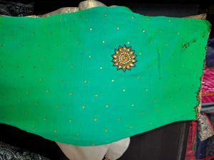 Elegant Green Dualtone Saree With Blouse