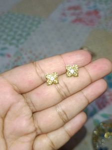 Women No Tarnish Earrings