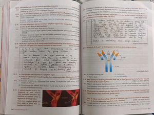Xam Idea Biology XII