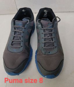 Sports Shoes