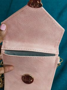 Small Clutch /Sling Bag