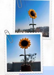 Handmade Crocheted Sunflower Decoration