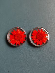 Daisy Flower Earrings🌸