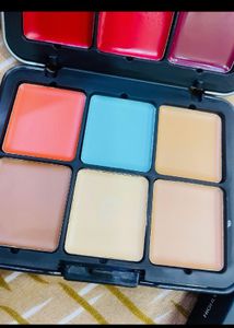 All IN ONE Concealer +blush Palate