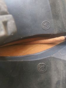 Dust Brown Belly