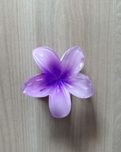 Flower Hair Clips (Set of 2)