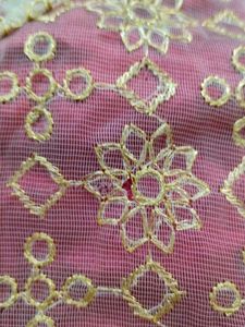 Golden With Red Inner Blouse