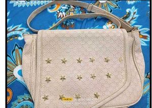 Comb2 Sling Bag And 2 Earing