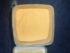 Insight HD Loose Powder (Shade 13 Honey)