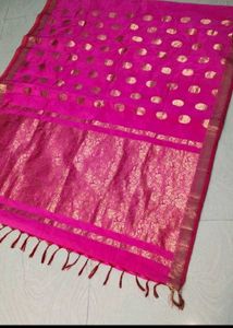 Festive Saree