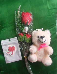 Rose And Teddy Combo🌹❤️