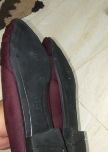 New SHEZONE Bellies