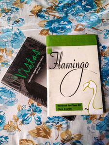NCERT English Core Flamingo And Vistas Textbooks | Class 12