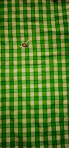 green check shirt 💚