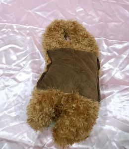 Combo Of 2 Teddy 🧸 Toys