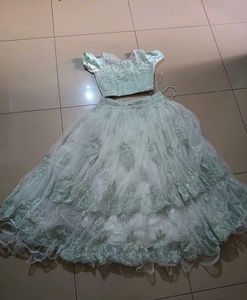 Mint Green Embroidered Lehenga
