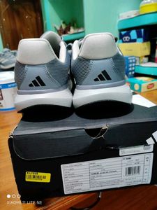 Adidas Sneakers - New with Tags