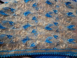 Net Embroidery Duppatta