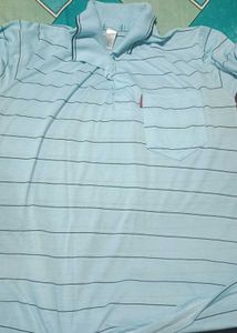 Striped Polo T-Shirt