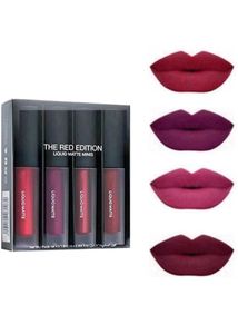 Liquid Matte Mini Lipstick Set