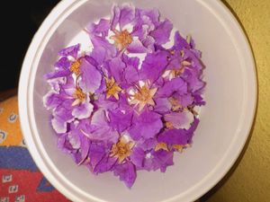 Dried FLOWER FOR RESIN ART