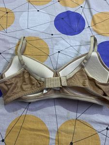 Clovia Padded Bra