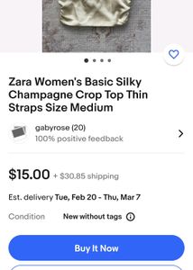 Zara Satin Crop Top