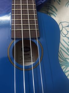 Ashton Ukulele in Case