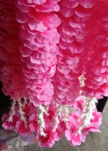 Baby Pink Blossom Strings 5 Ft