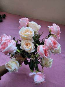 Light Pink Roses