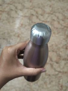 Stainless Steel Bottle