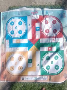 Ludo Banner