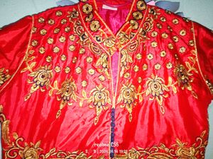 Beautiful Ethnic Gown