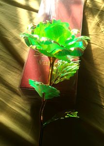 Fluorescent Green Rose With Golden Highlights.