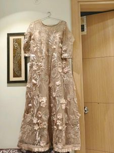 Elegant Ethnic Gown