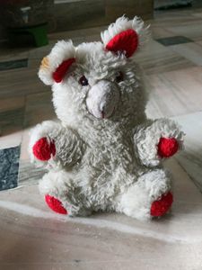 Teddy