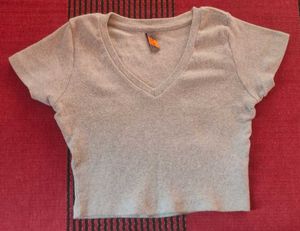 Gray V-Neck crop top